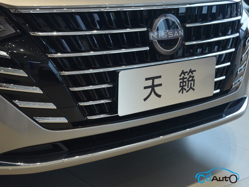 2022款 東風(fēng)日產(chǎn)天籟 其它