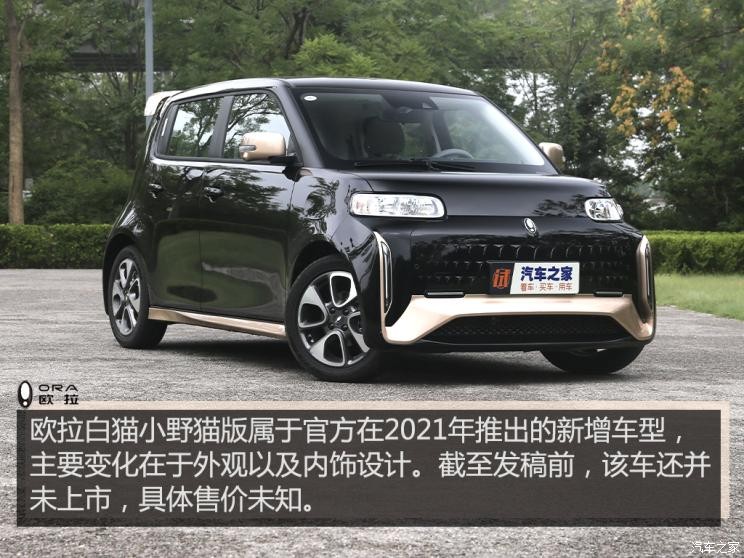 長(zhǎng)城汽車(chē) 歐拉白貓 2021款 小野貓