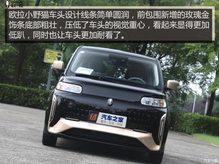 長(zhǎng)城汽車(chē) 歐拉白貓 2021款 小野貓