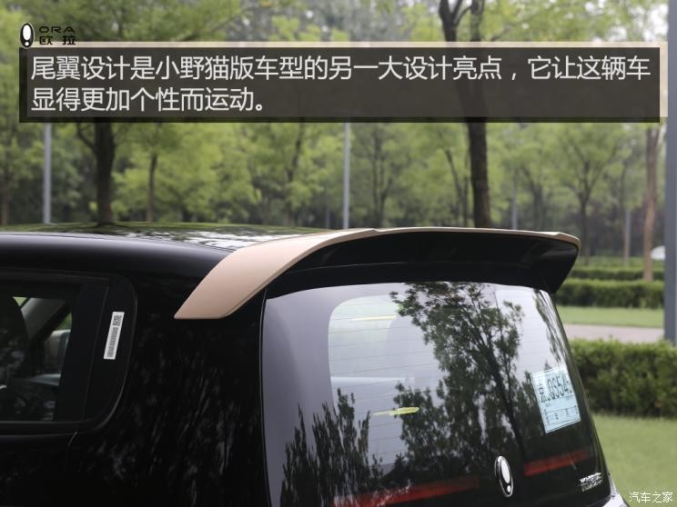 長(zhǎng)城汽車(chē) 歐拉白貓 2021款 小野貓