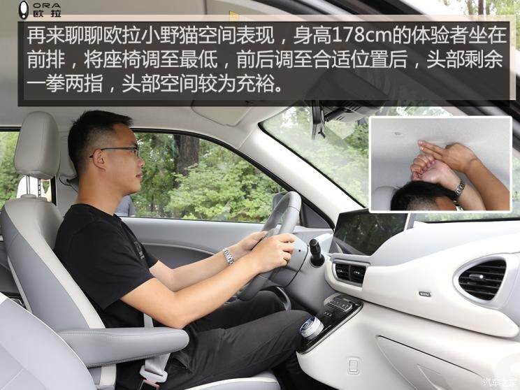 長(zhǎng)城汽車(chē) 歐拉白貓 2021款 小野貓