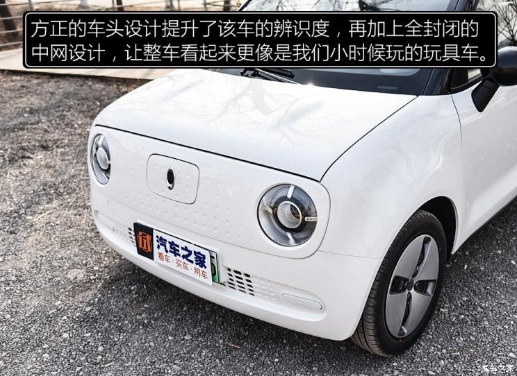 長(zhǎng)城汽車 歐拉R1 2019款 351km 靈趣版