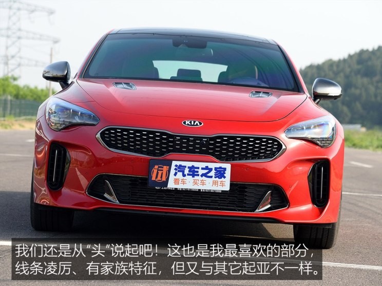 起亞(進(jìn)口) 斯汀格 2018款 2.0T GT+