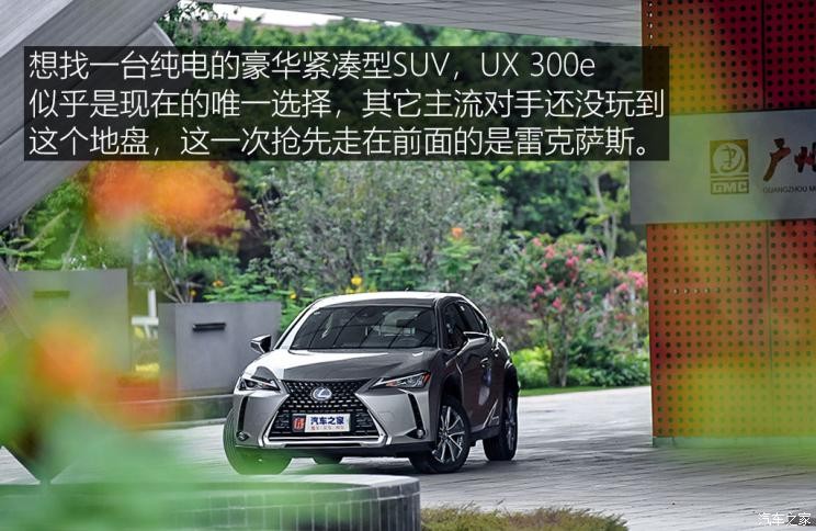 雷克薩斯 雷克薩斯UX新能源 2020款 300e 純·享版