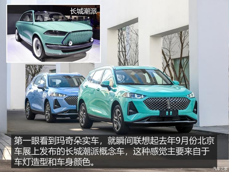 長(zhǎng)城汽車 瑪奇朵 2021款 試裝車