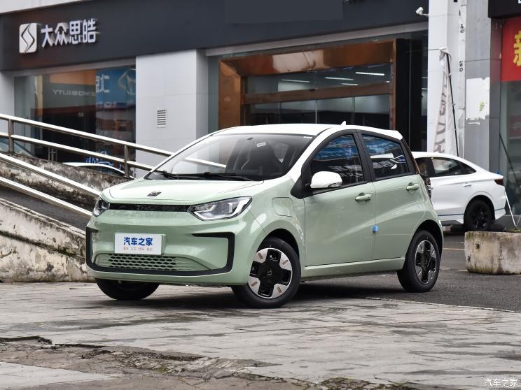 江汽集團(tuán) 花仙子 2023款 周年款 251km 滿天星 36kW