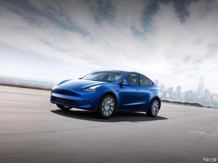 特斯拉（進(jìn)口） Model Y 2019款 Performance高性能全輪驅(qū)動(dòng)版