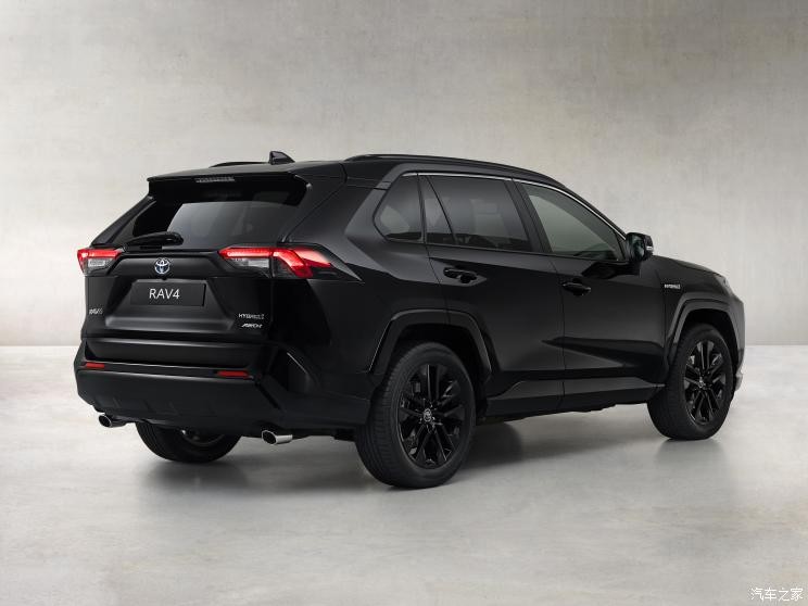 豐田(進(jìn)口) 豐田RAV4(進(jìn)口) 2020款 Hybrid Black Edition