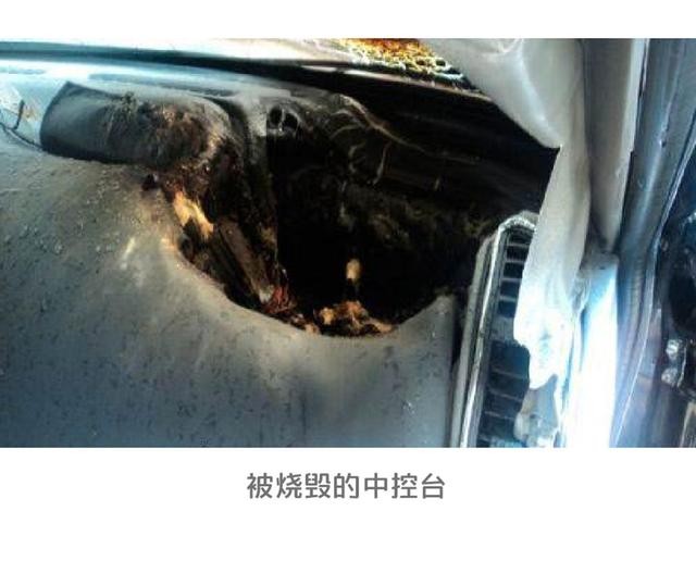 車載香水易爆炸？車內(nèi)不能裝這些究竟為何？