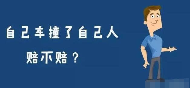 保險(xiǎn)公司快要哭了 這幾種情況以前不賠 現(xiàn)在必須賠