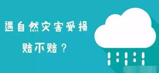 保險(xiǎn)公司快要哭了 這幾種情況以前不賠 現(xiàn)在必須賠