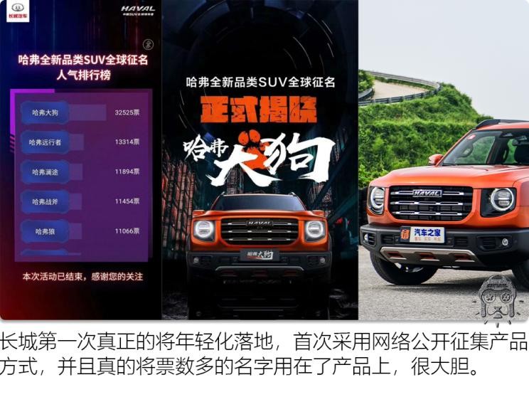 長(zhǎng)城汽車 哈弗大狗 