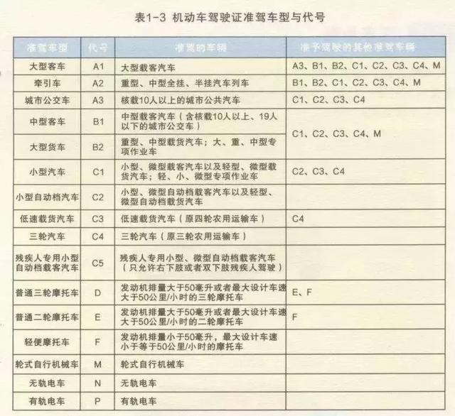 有C1駕照別浪費 這幾類車你都能開