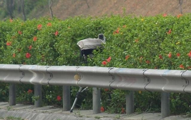 被大車擋住闖了紅燈咋辦 五大最冤的違章行為